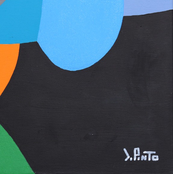Federico Pinto Schmid: Armocromia image 6